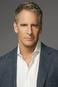 Scott Bakula as Raymond