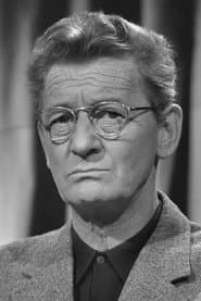 Simon Carmiggelt as Voice-over