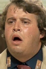 Lucio Montanaro as Il servitore dei conte