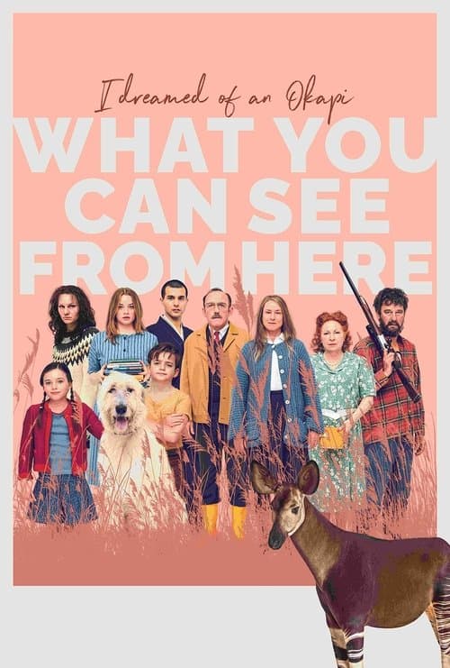 What You Can See from Here movie poster