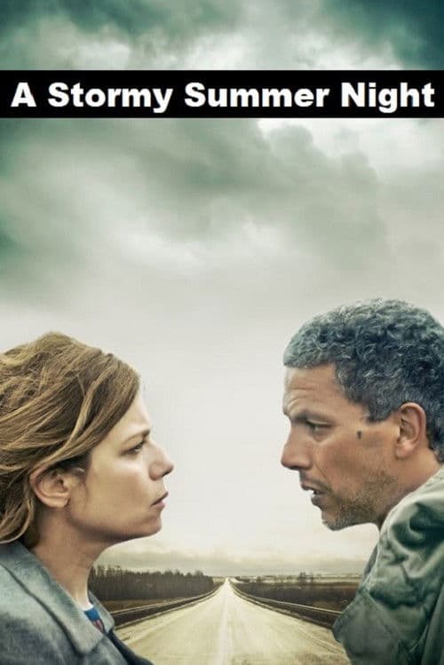 A Stormy Summer Night movie poster