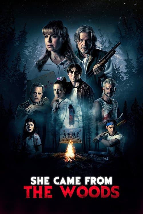 She Came from the Woods movie poster