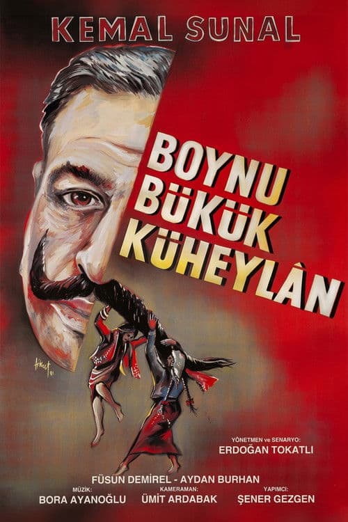 Boynu Bükük Küheylan