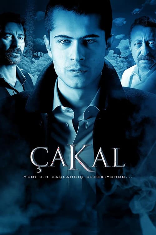 Çakal movie poster