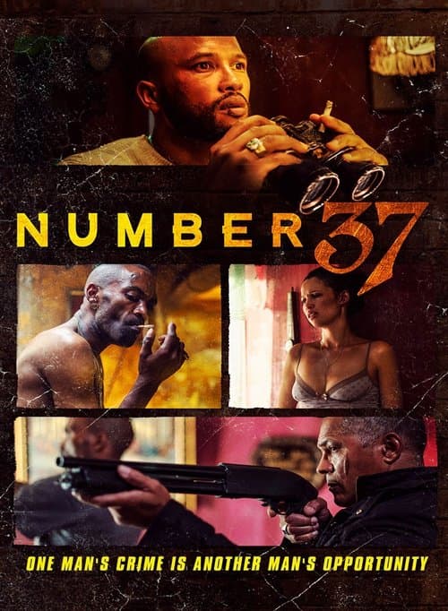 Number 37 movie poster