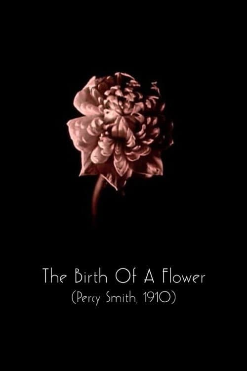 The Birth of a Flower movie poster