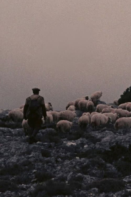 Orgosolo’s Shepherds