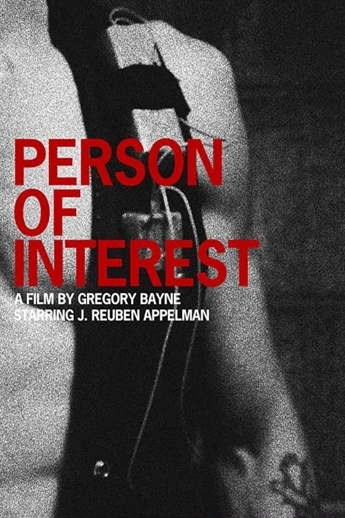 Person of Interest movie poster