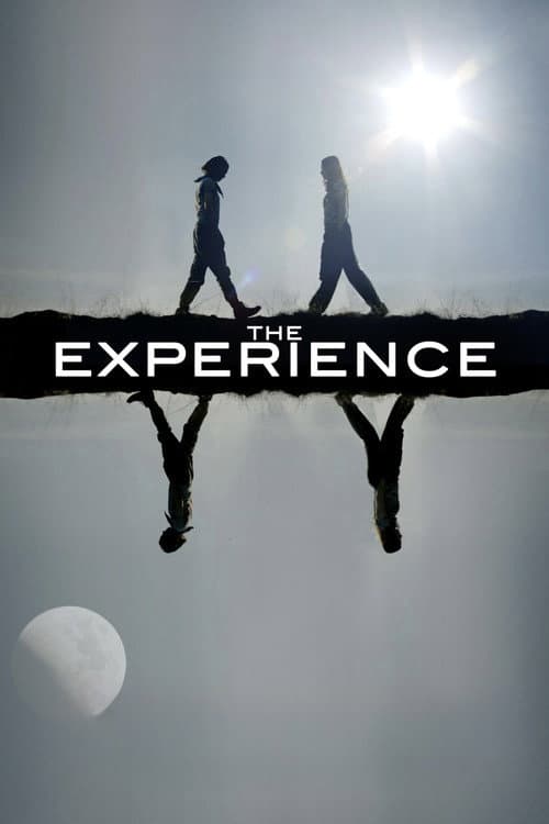 The Experience movie poster