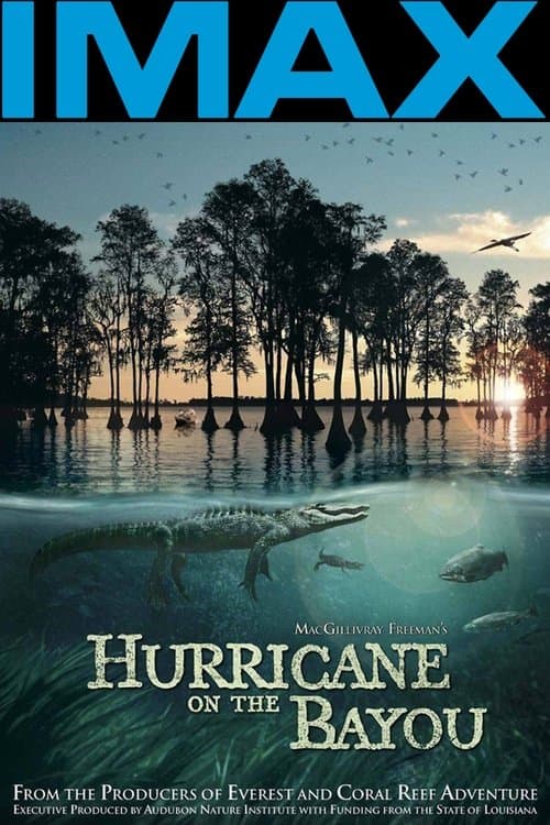 Hurricane on the Bayou movie poster