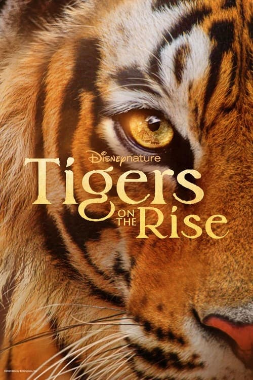 Tigers on the Rise movie poster