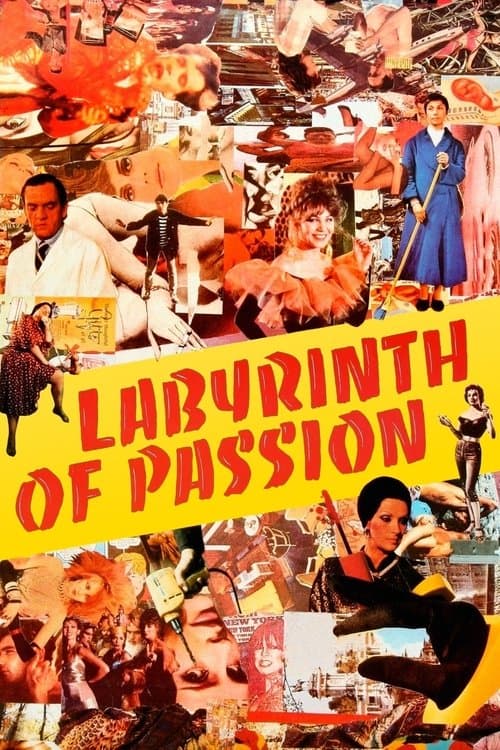 Labyrinth of Passion movie poster