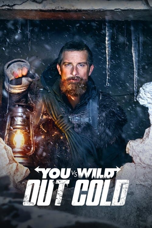 You vs. Wild: Out Cold movie poster