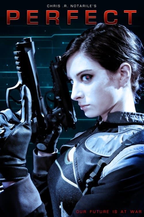 Perfect movie poster