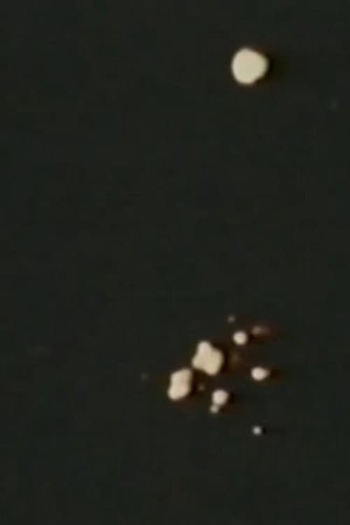 Song 11 movie poster