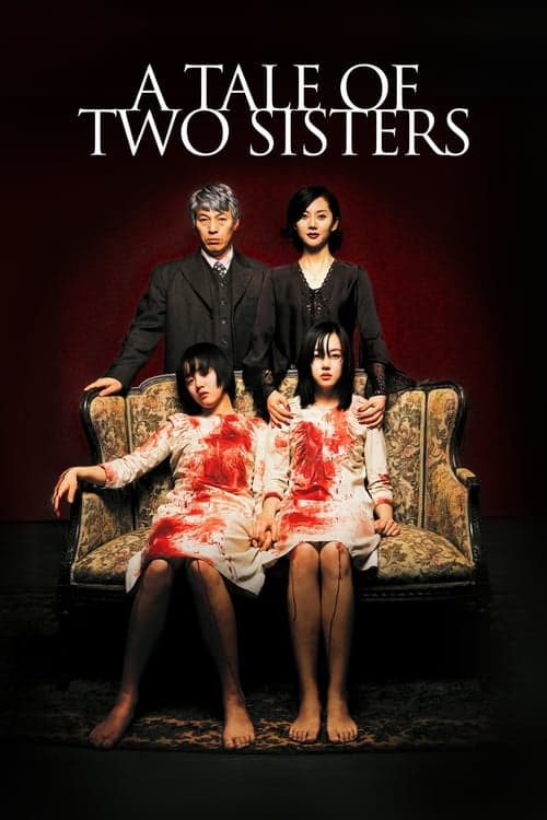 A Tale of Two Sisters movie poster