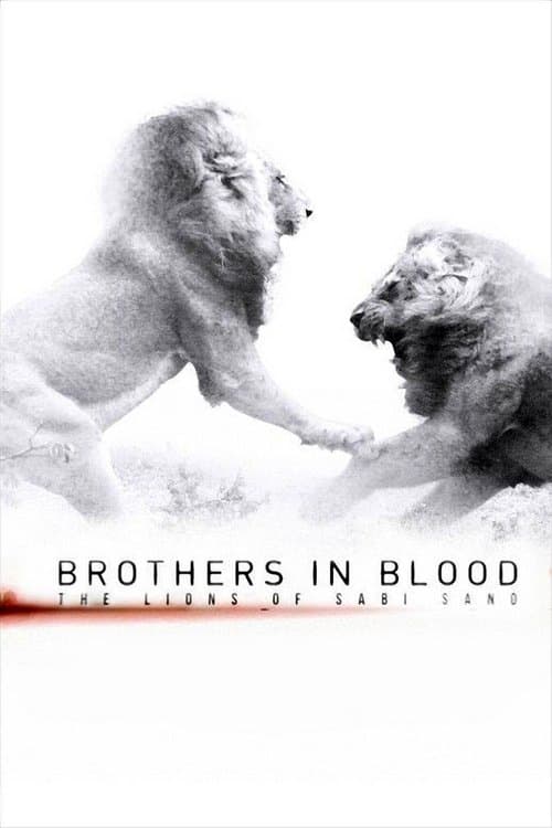 Brothers in Blood: The Lions of Sabi Sand movie poster