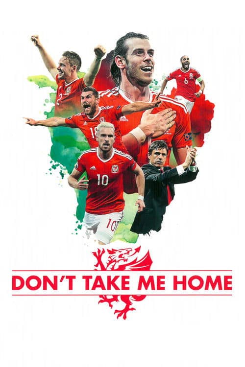 Don't Take Me Home movie poster