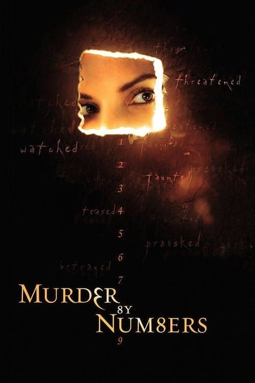 Murder by Numbers movie poster