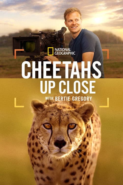 Cheetahs Up Close with Bertie Gregory movie poster