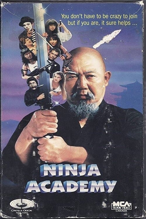 Ninja Academy movie poster