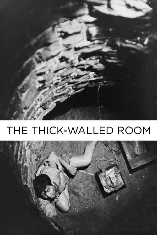 The Thick-Walled Room movie poster