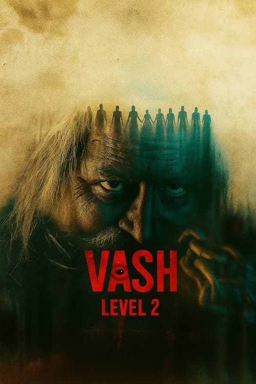 Vash Level 2 movie poster