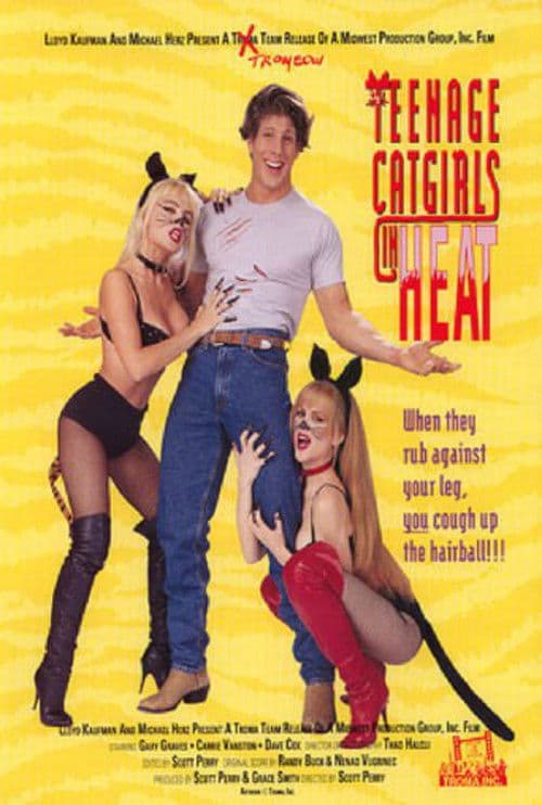 Teenage Catgirls In Heat movie poster