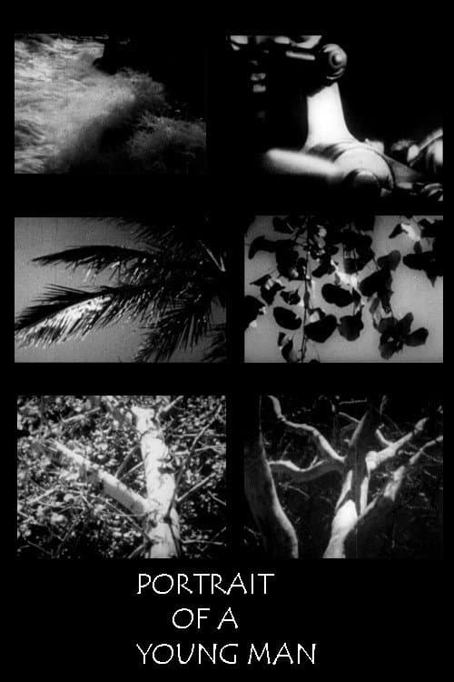 Portrait of a Young Man in Three Movements movie poster